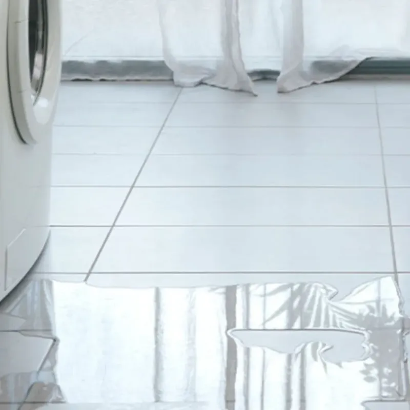 Appliance Leak Cleanup in Pine Ridge, FL